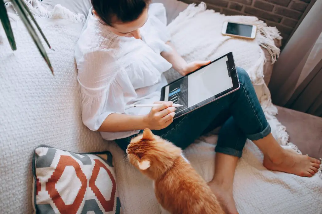 Ways to Make Money from Home in Midlife- Woman Working on the Couch with her orange tabby cat