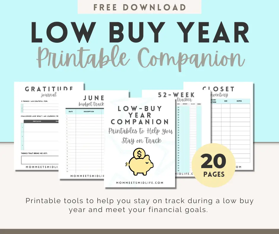 Low buy printable companion to help keep track of how you make money in midlife