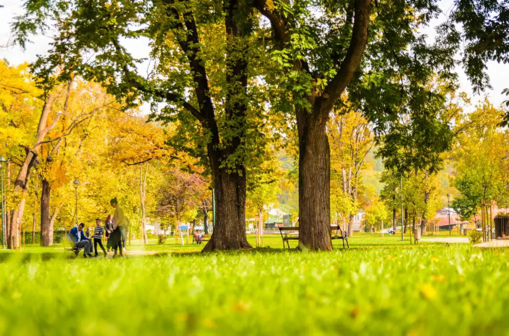 low spend summer with kids at the park