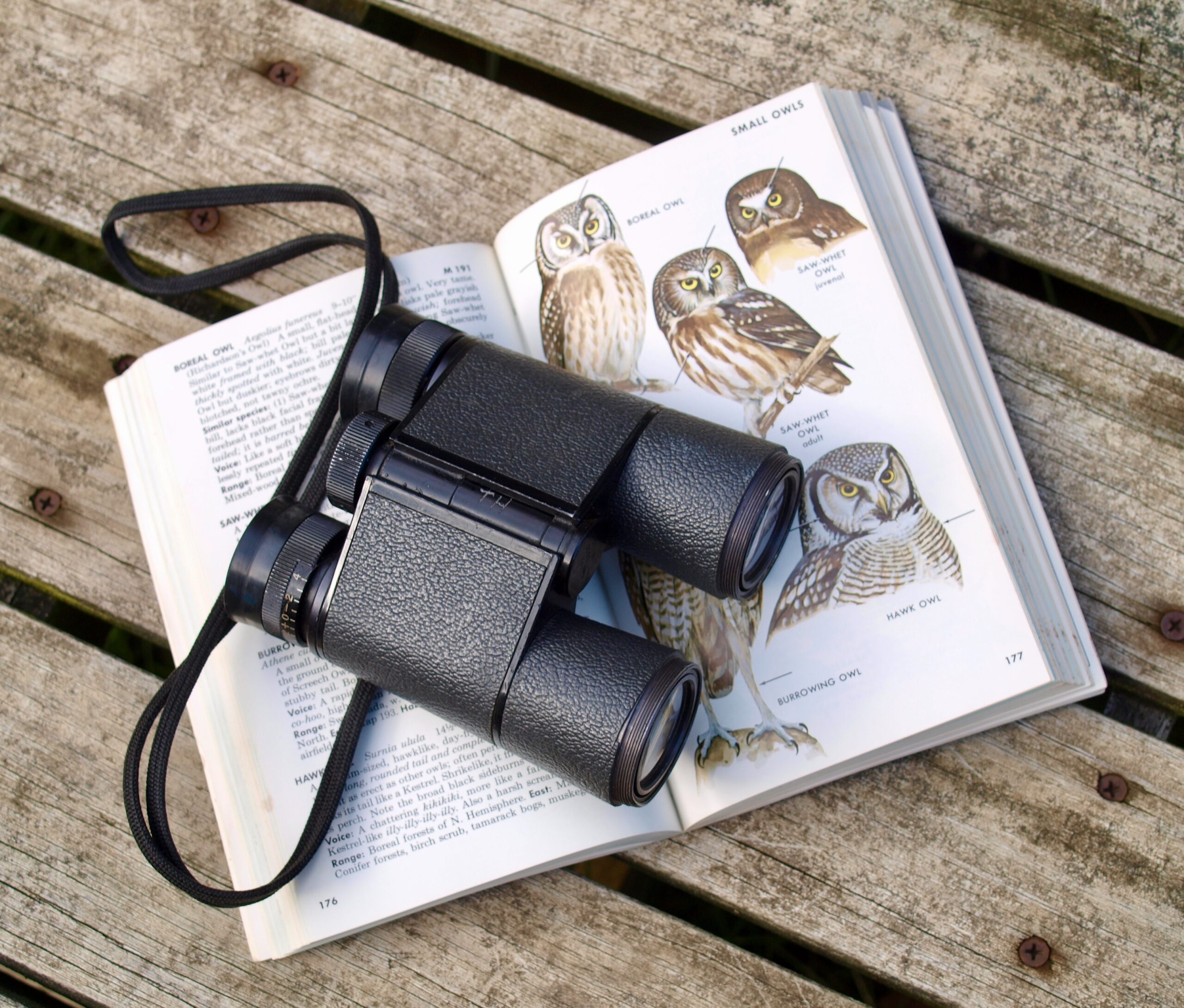 birdwatching midlife crisis hobbies